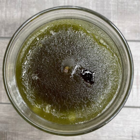 NIB YANKEE CANDLE Holiday Bayberry Large Jar Housewarmer 22oz Black Band Unused - Picture 3 of 7